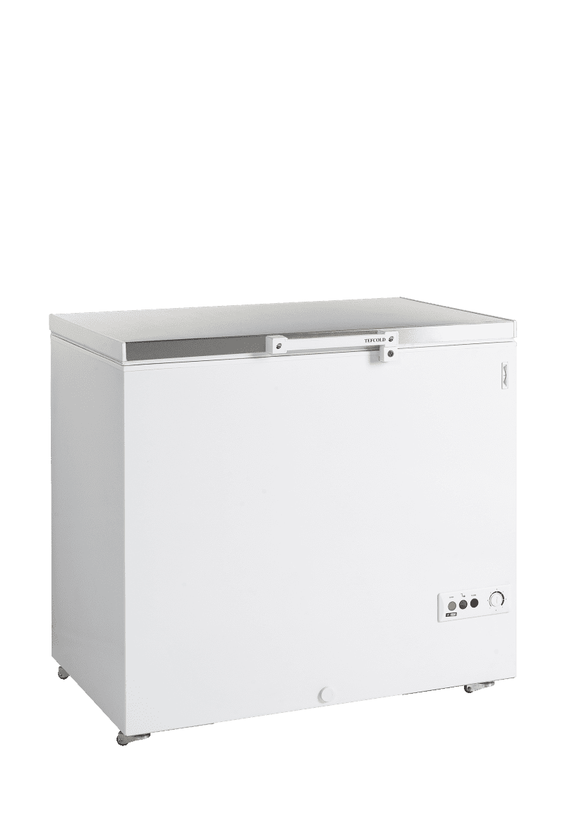 Congélateur de crème glacée - FR305S SL