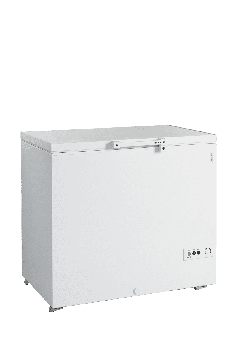 Congélateur de crème glacée - FR305 SL