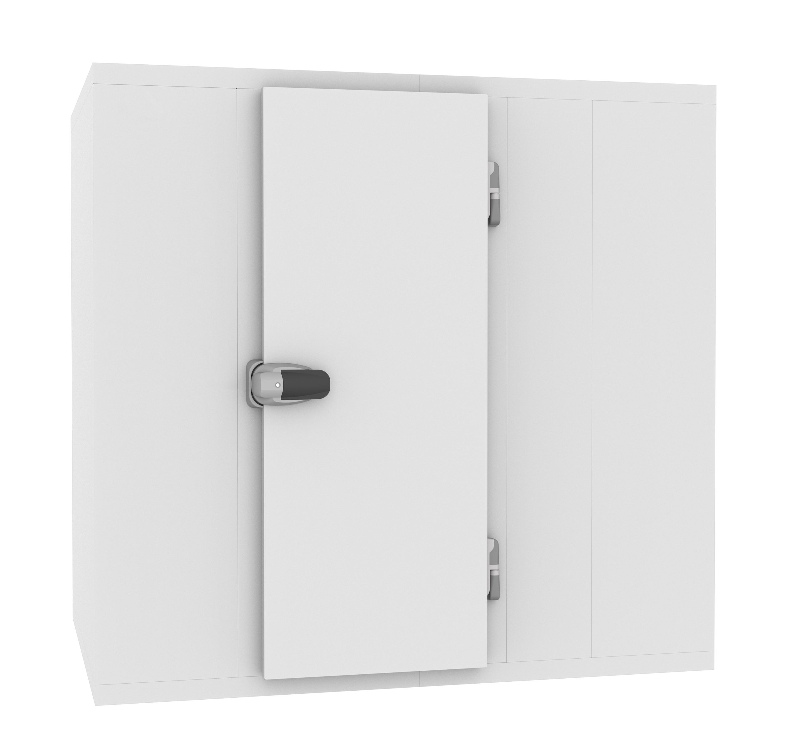 CHAMBRE FROIDE POSITIVE/NEGATIVE 3000x5400x2400 - 120 MM *TRANSPORT SUR DEMANDE*